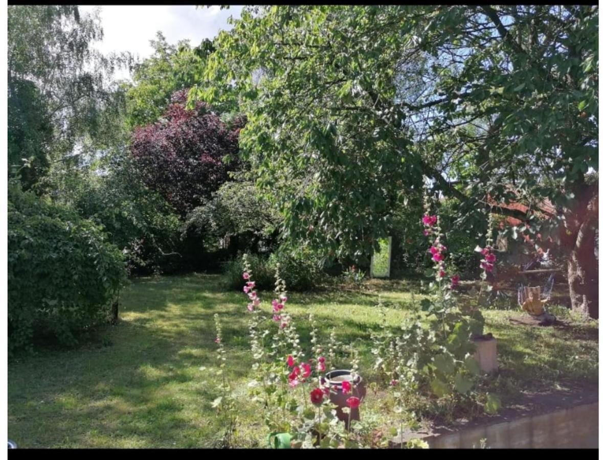 Geraeumiges 120M² Haus Mit Garten + Stellplatz Stralsund Luaran gambar